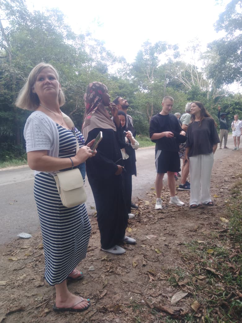 Discover the Magic of Jozani Forest – Home of the Red Colobus Monkeys! 🐒